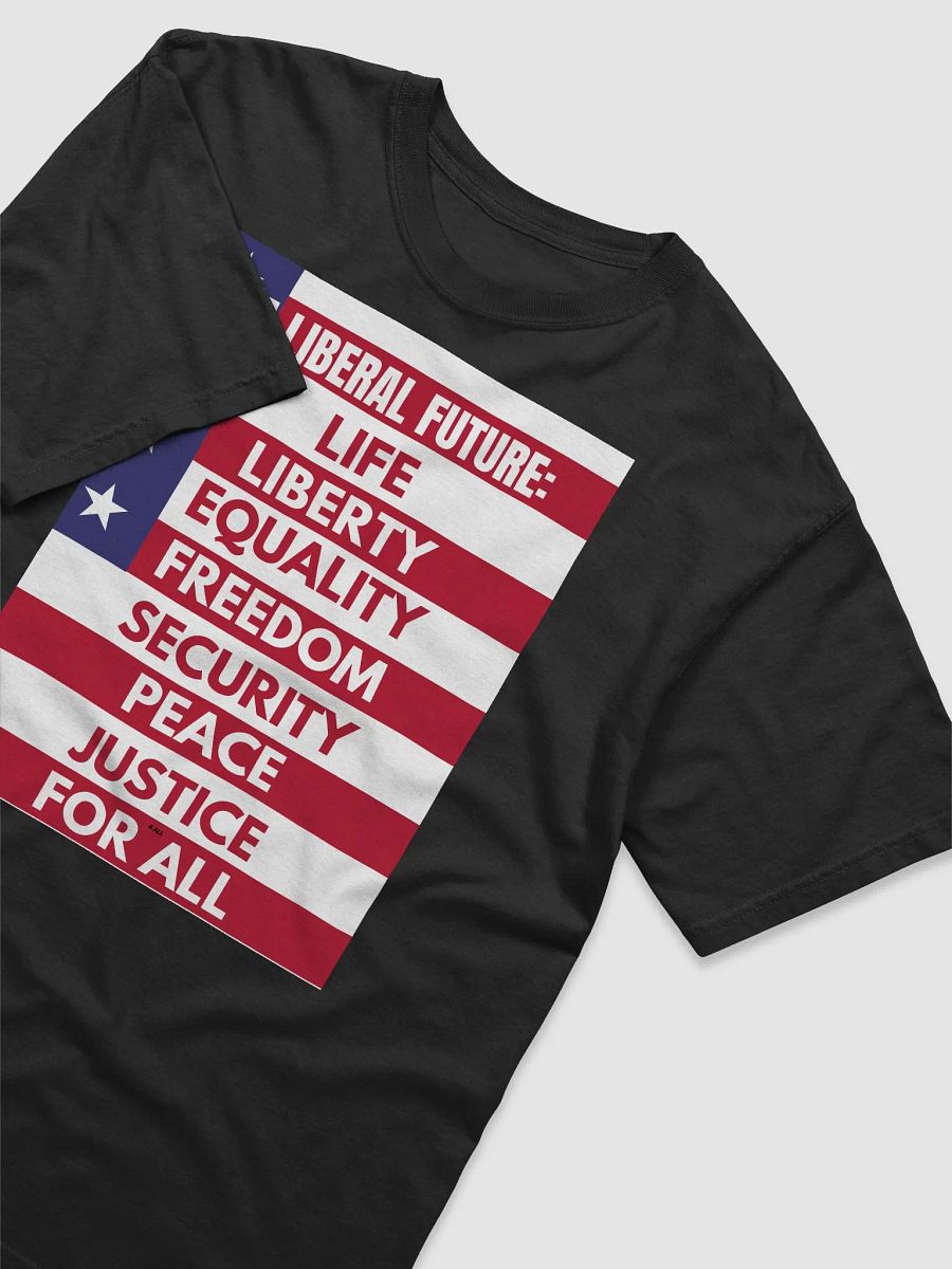 A Liberal Future product image (3)