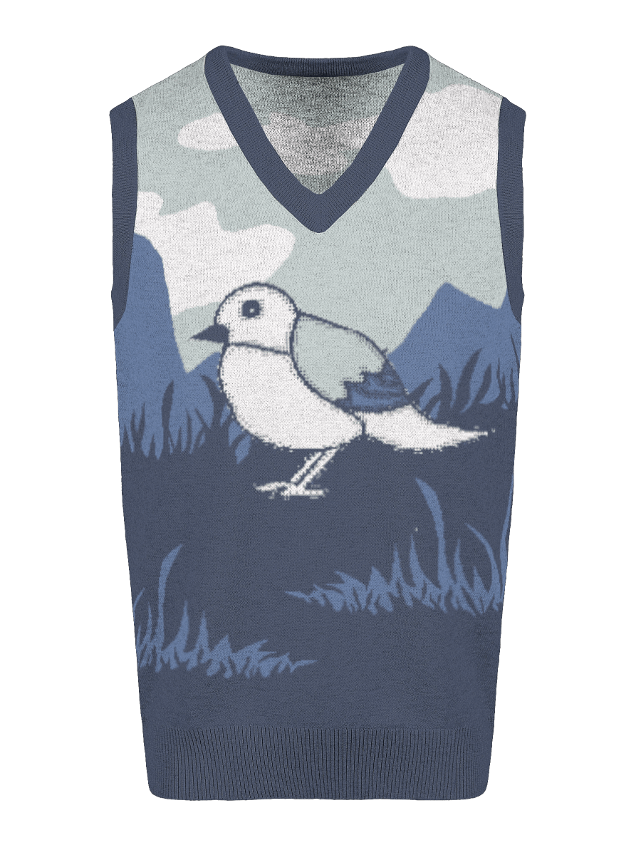 Bird's Eye V-Neck: Knitted Vest product image (3)