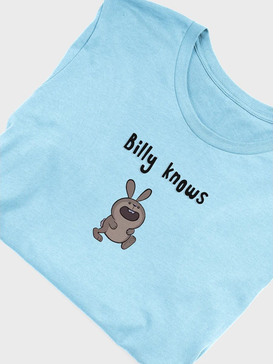 Billy Knows product image (25)