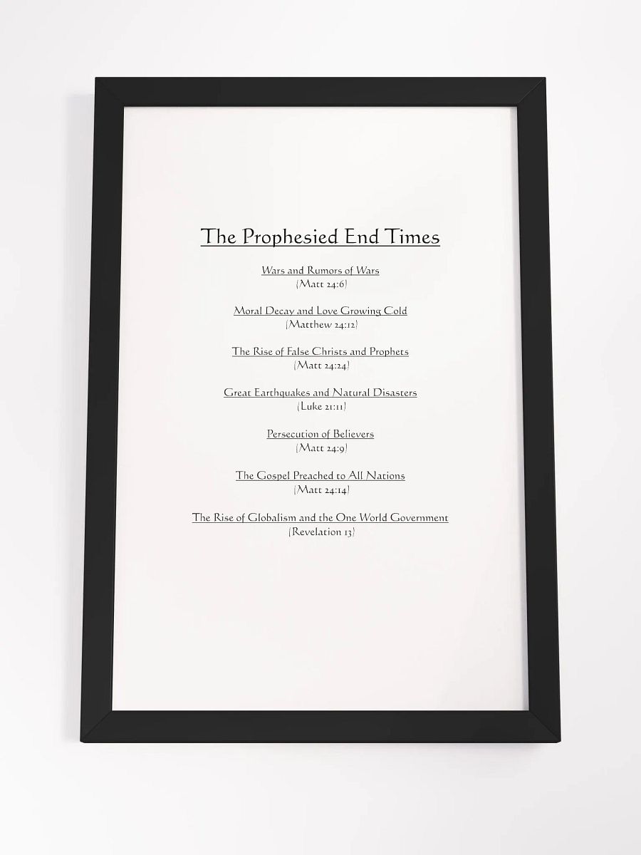 BIBLE: The Prophesied End Times product image (8)