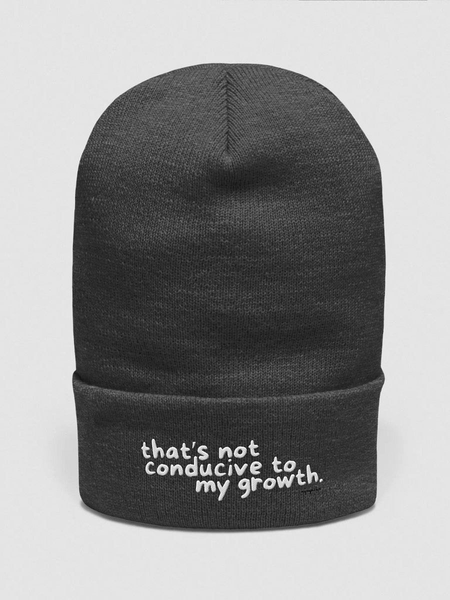 Conducive Beanie product image (1)
