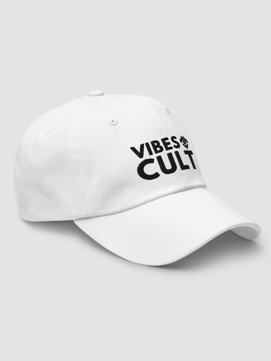 Embroidered Dad Hat - VIBES CULT product image (3)