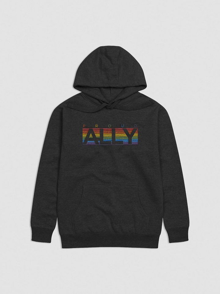 PROUD ALLY Premium Hoodie product image (7)