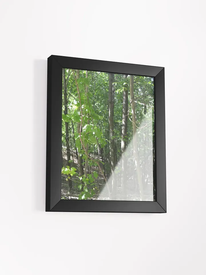 Forest High Quality Matte Poster product image (2)