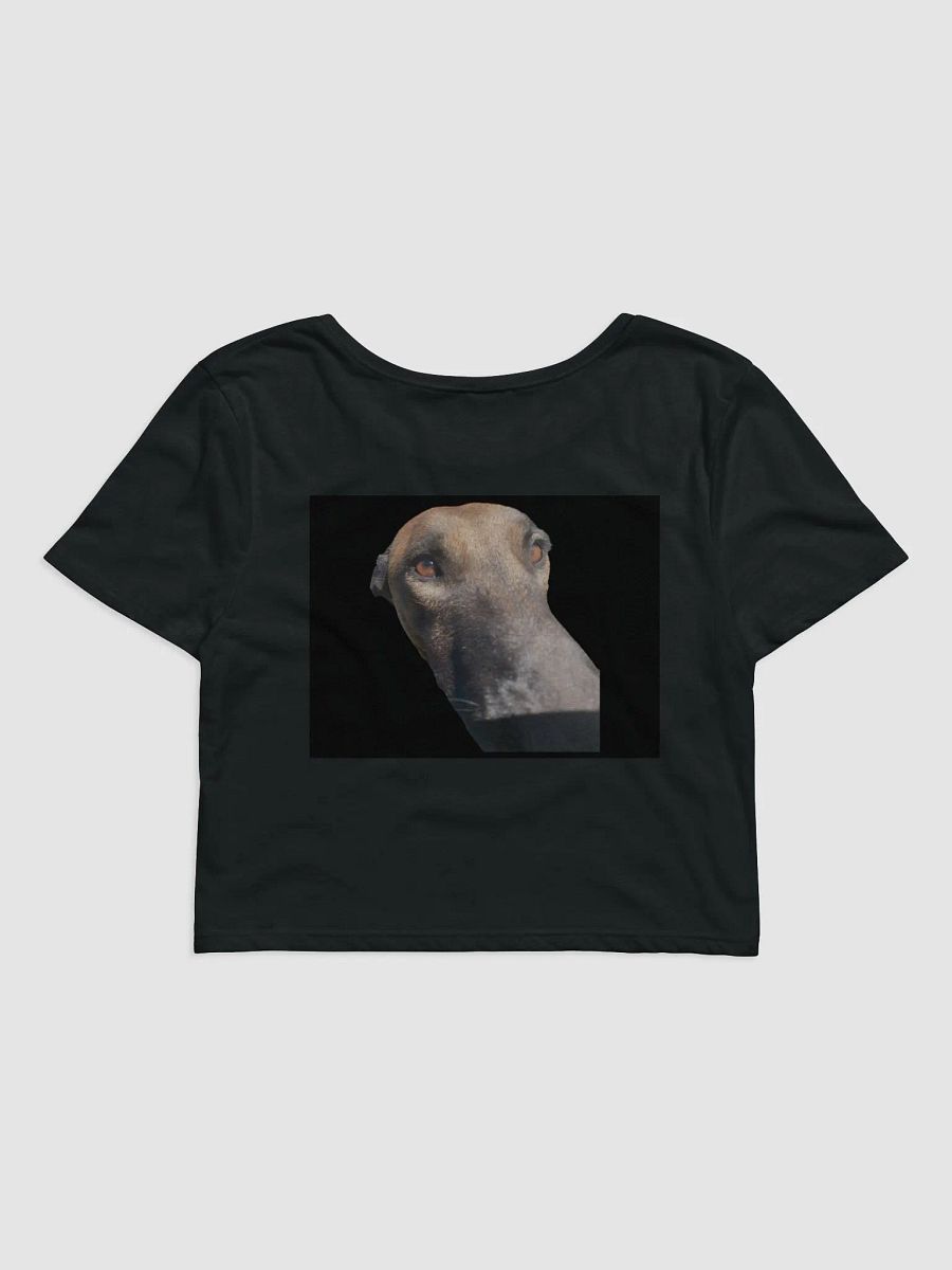 Soulful Pup Women's Crop Tee Malinois Tina product image (2)