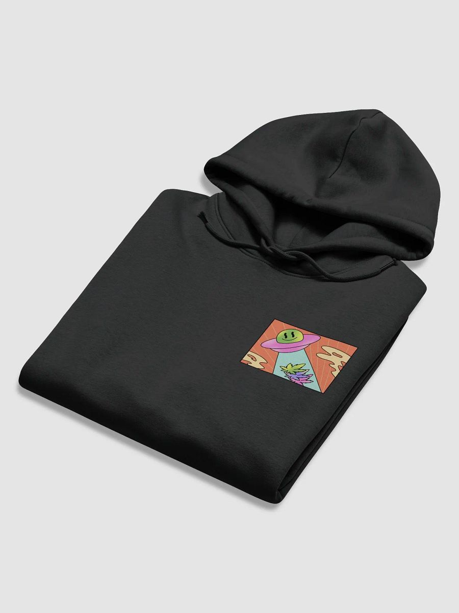 "High Flyer" Pullover Hoodie product image (6)