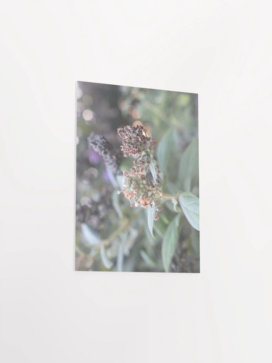 A Study in Flowers 2 product image (29)