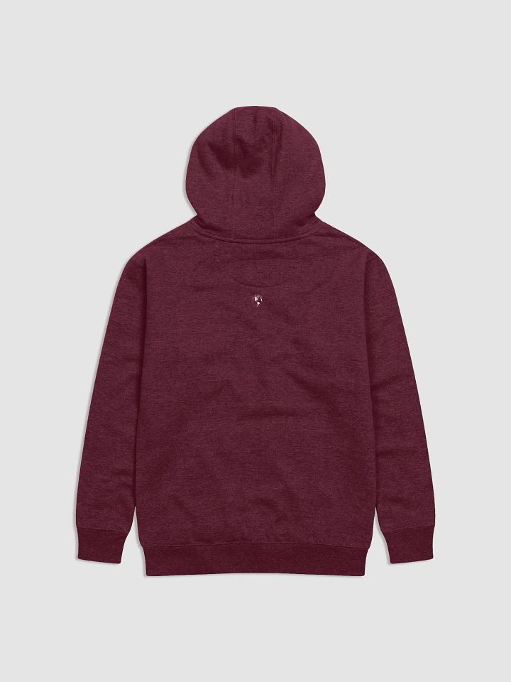 BI PLANE HOODIE product image (10)