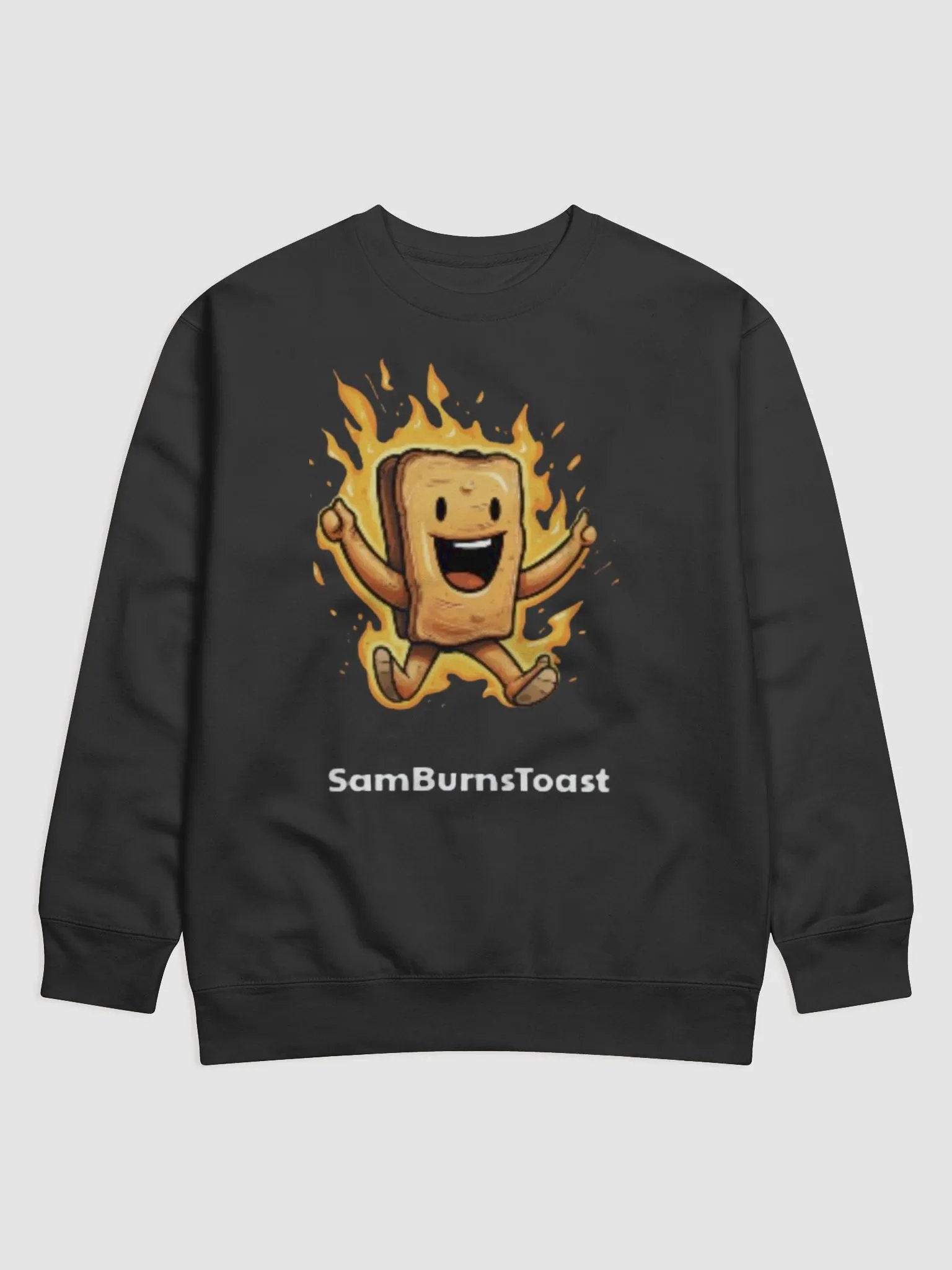 Toasty Sweatshirt product image (5)