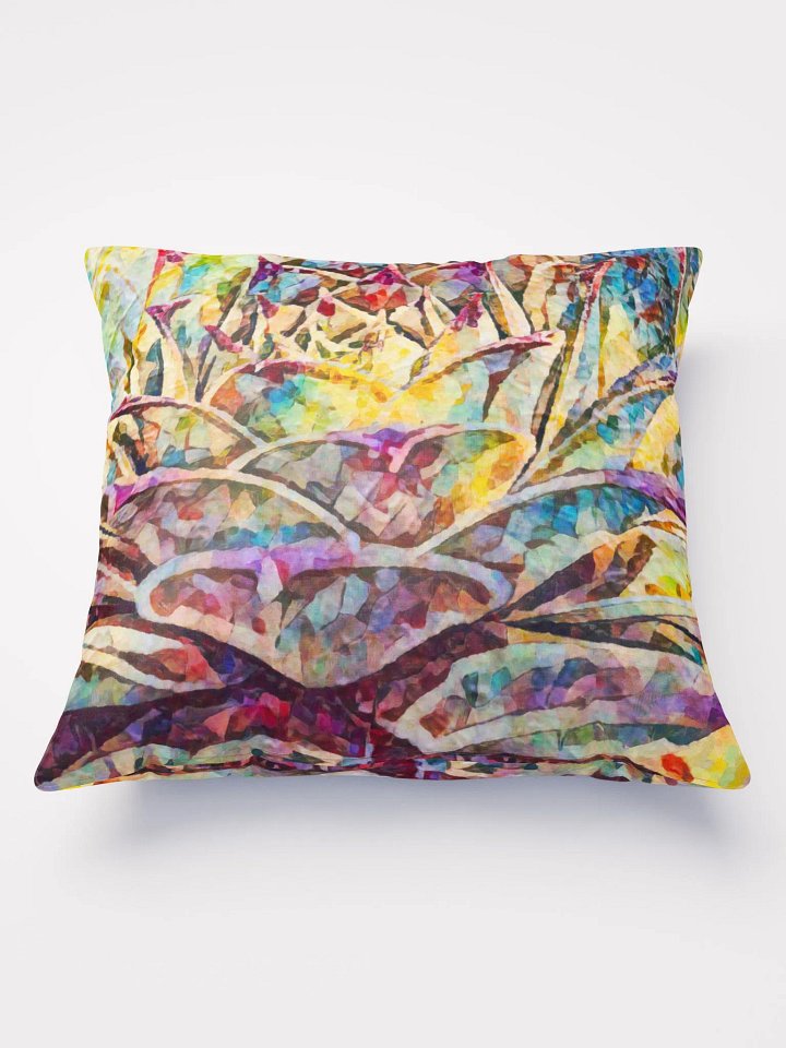 Abstract Graphic | Pillow 22