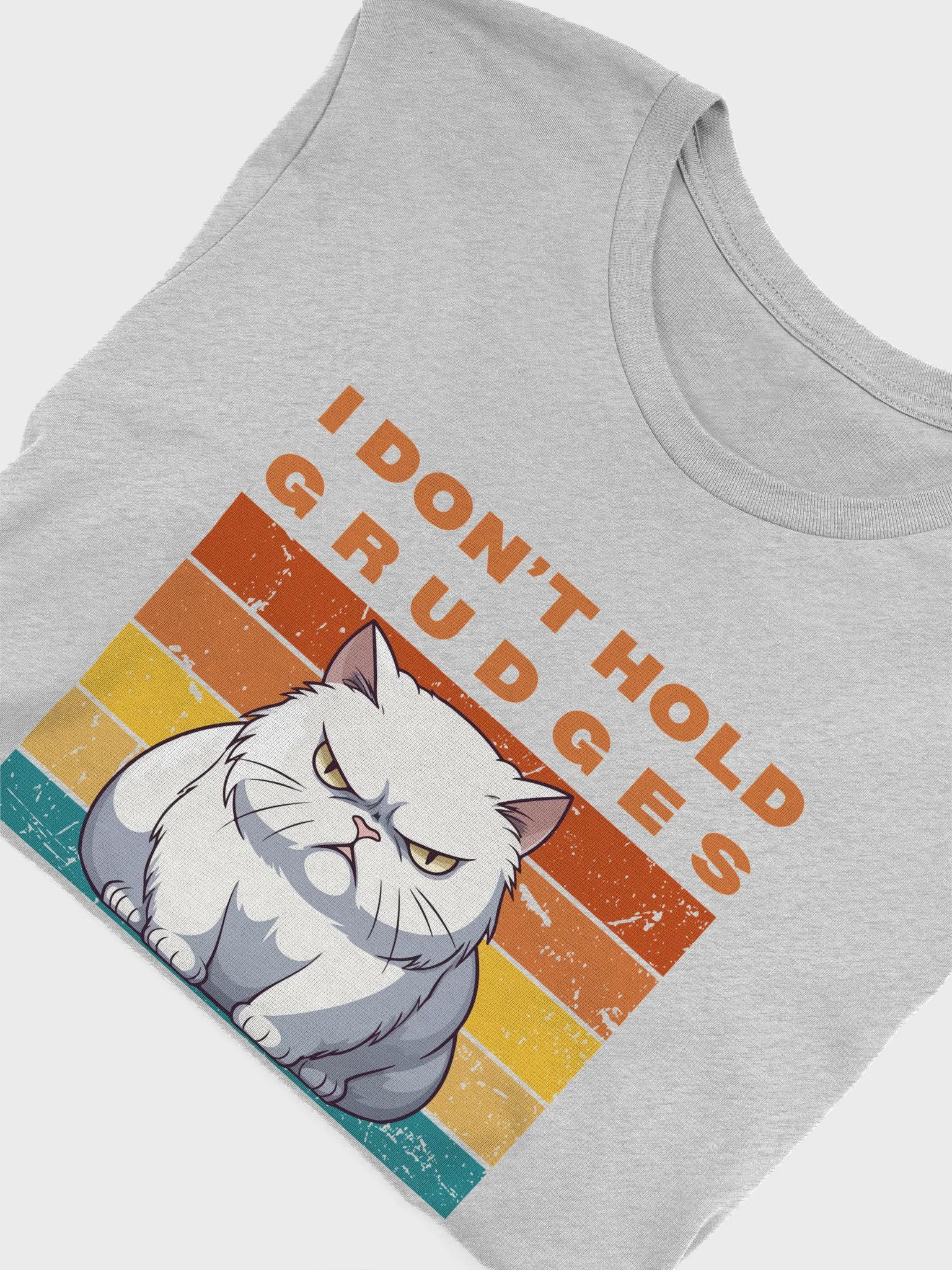 Holding Grudges Cat T-Shirt Sarcastic Funny T-Shirt Light Colours product image (25)