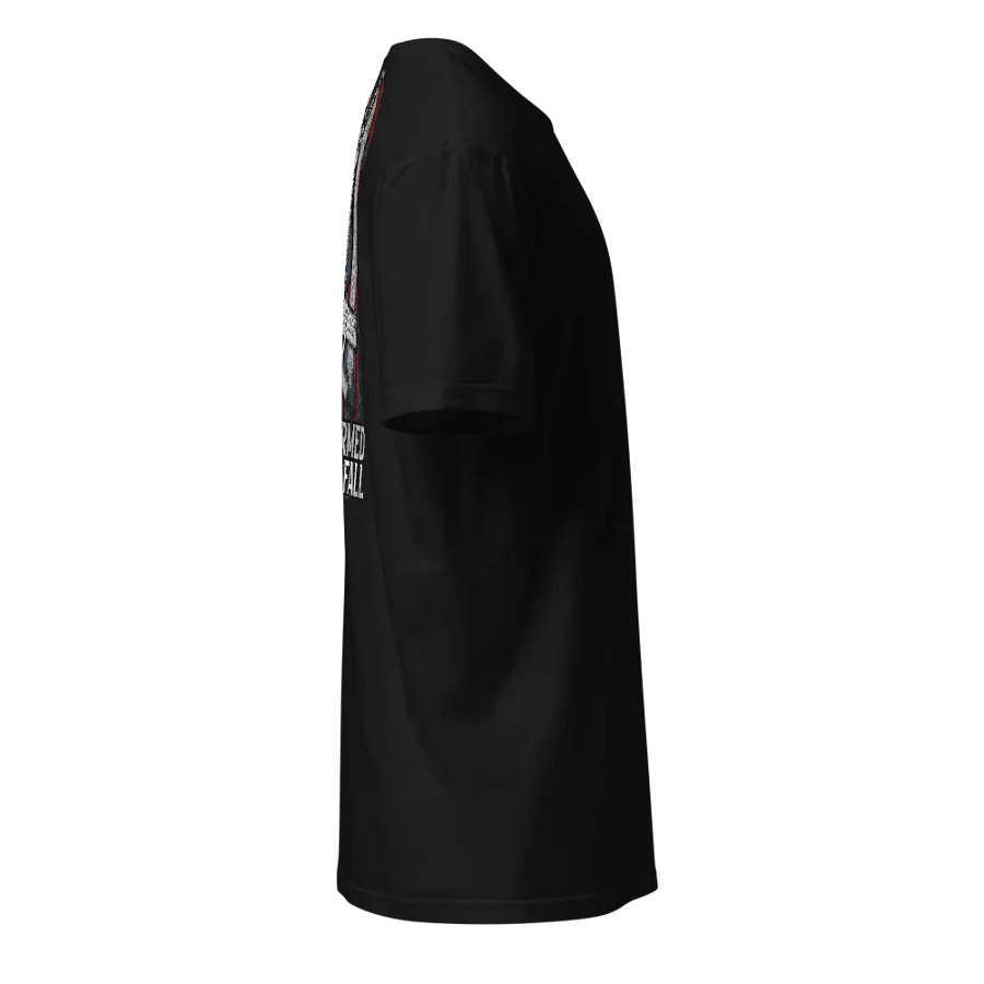 United We Stand. Disarmed We Fall product image (12)