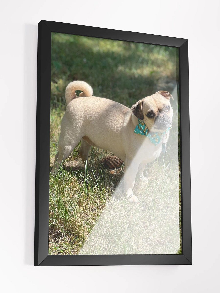 Crash Poster product image (5)