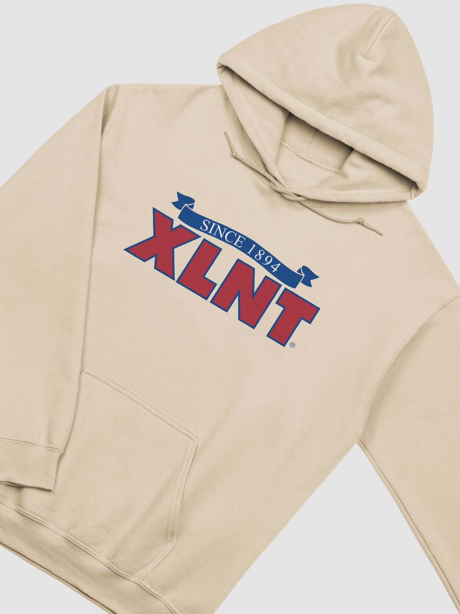 XLNT Foods Logo Hoodie product image (11)