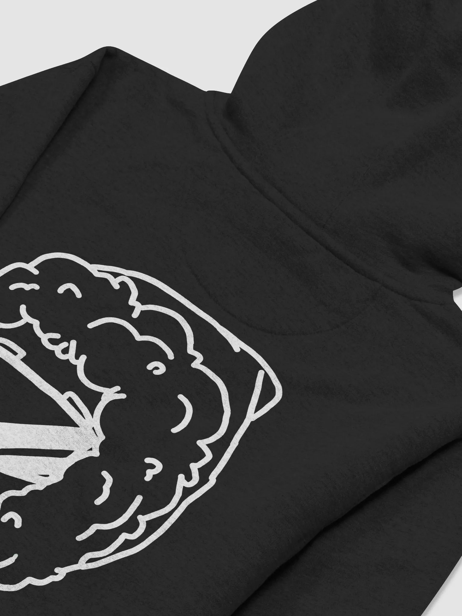 Graphic Hoodie (BLACK) product image (4)