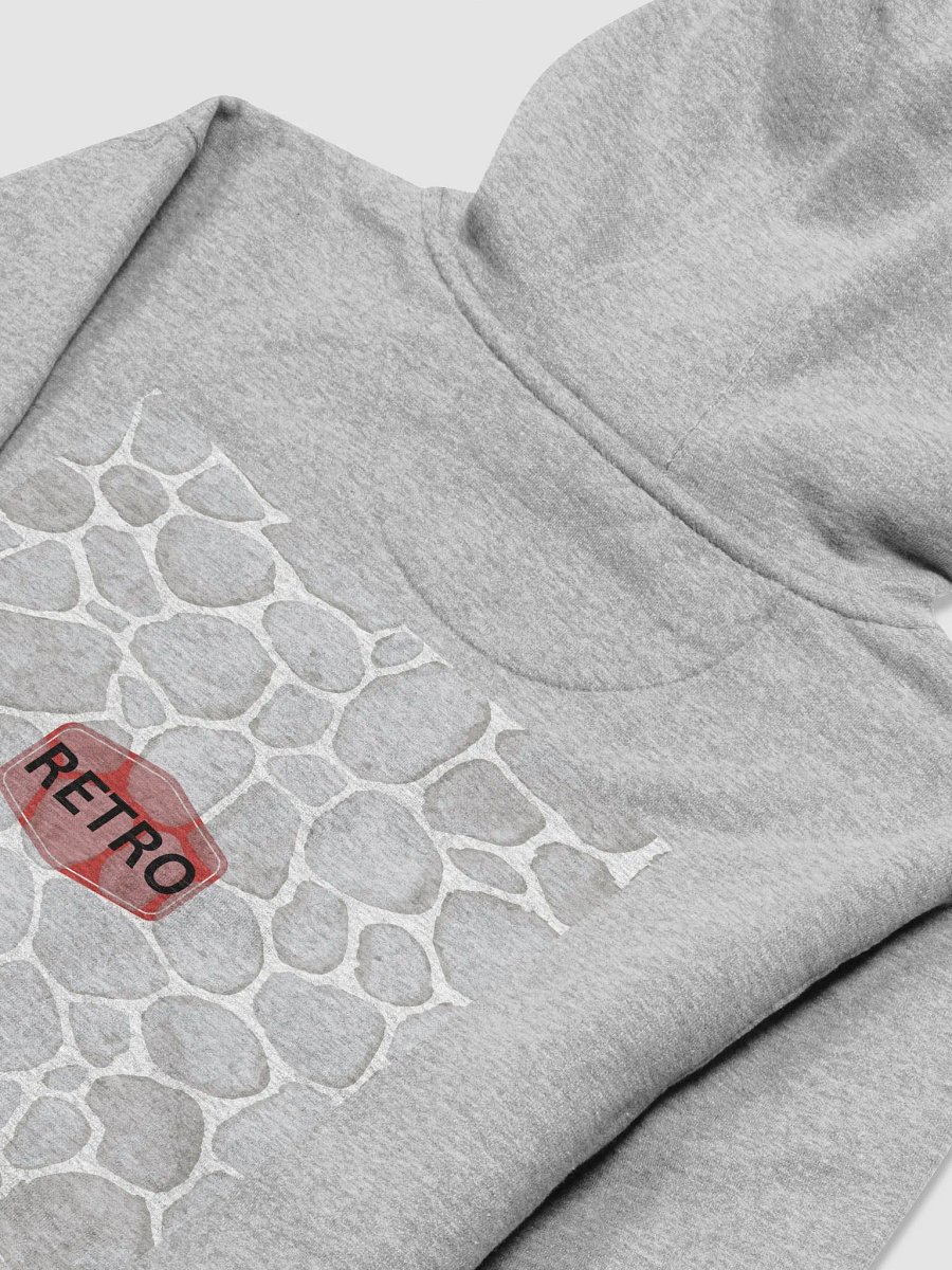 Vintage Schoolhouse Premium Hoodie product image (4)