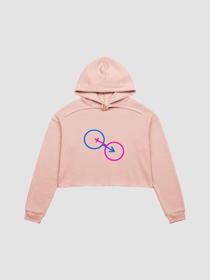 Embracing The Norm Crop Hoodie product image (1)