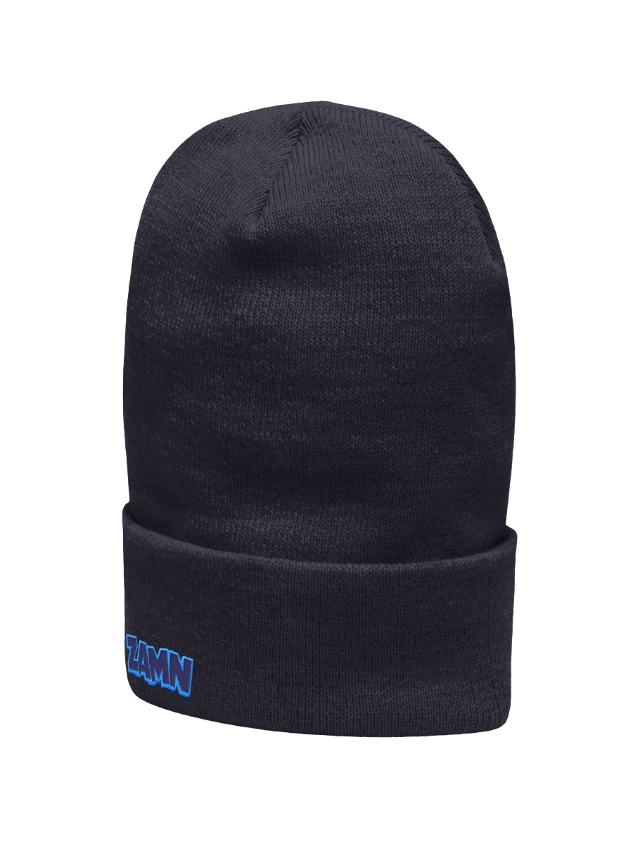 ZAMN Logo Beanie: Blue product image (5)