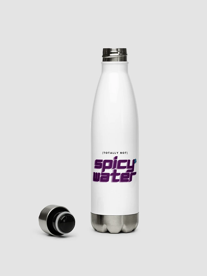 Stainless Steel Water Bottle - (Totally Not) Spicy Water product image (1)