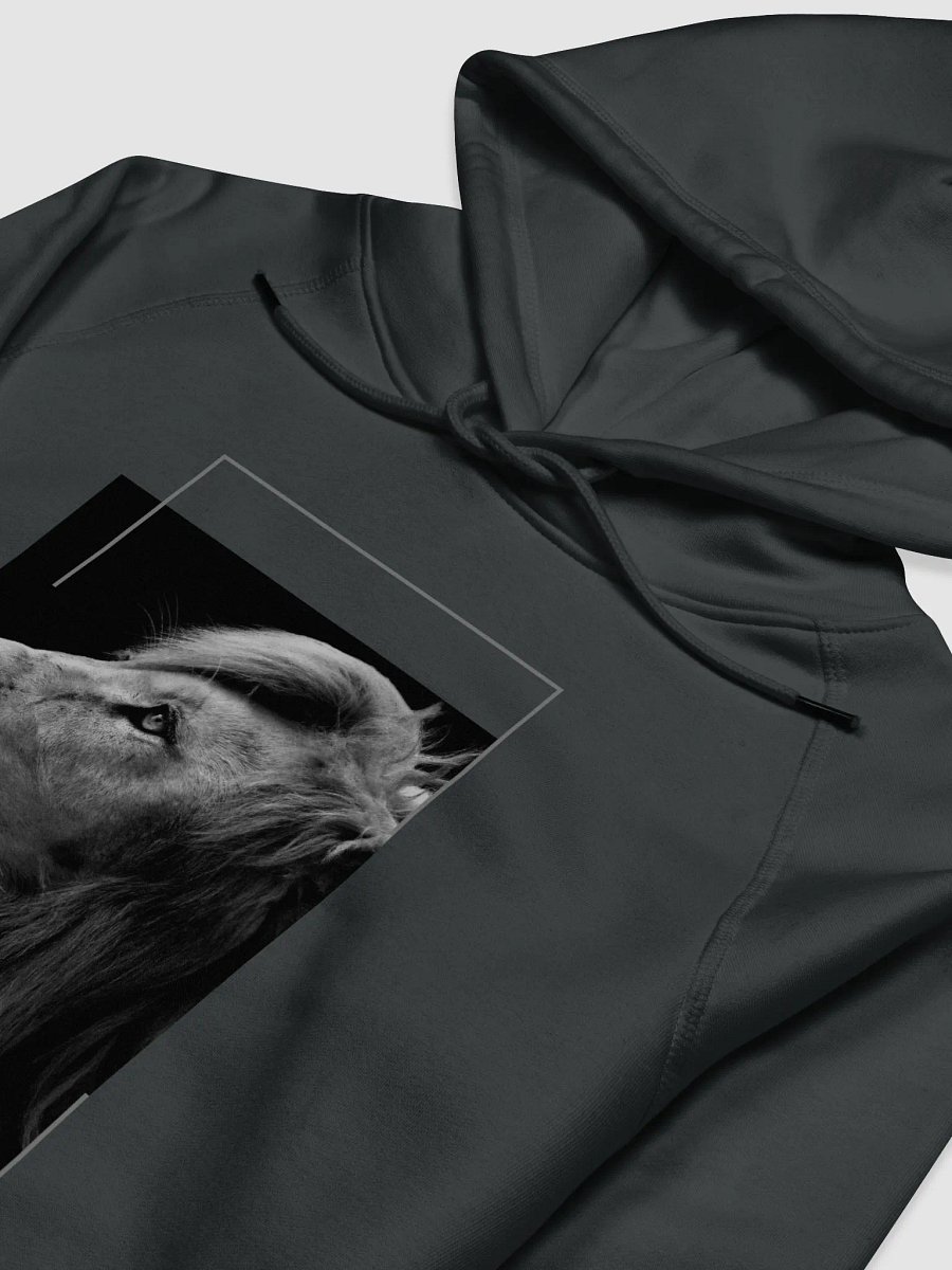Majestic Hoodie product image (3)