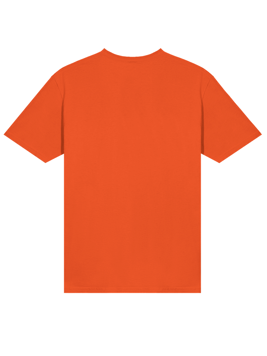 Ayaic Unisex Softstyle T-Shirt (blk) product image (4)