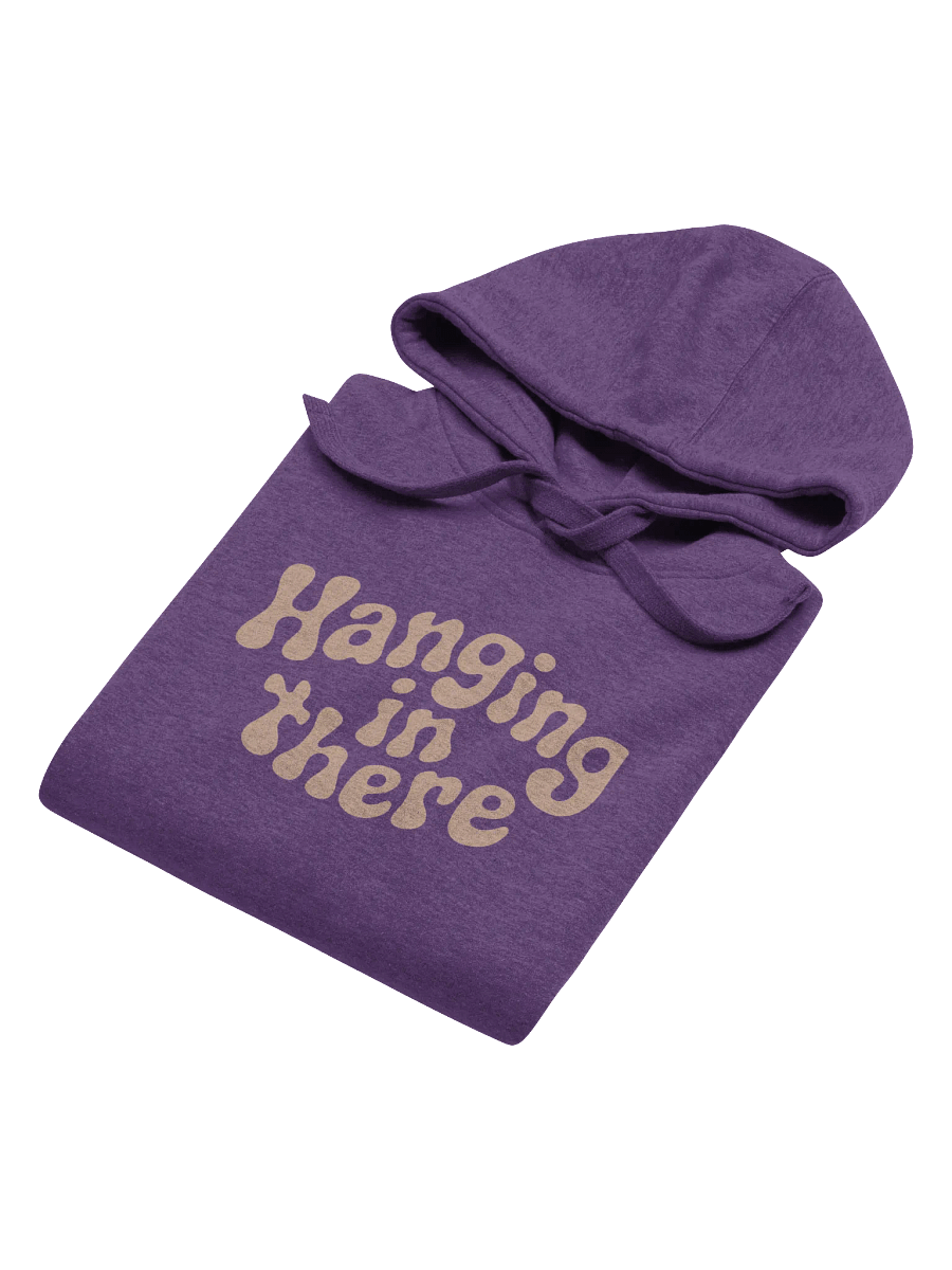 Hanging In There Hoodie product image (4)