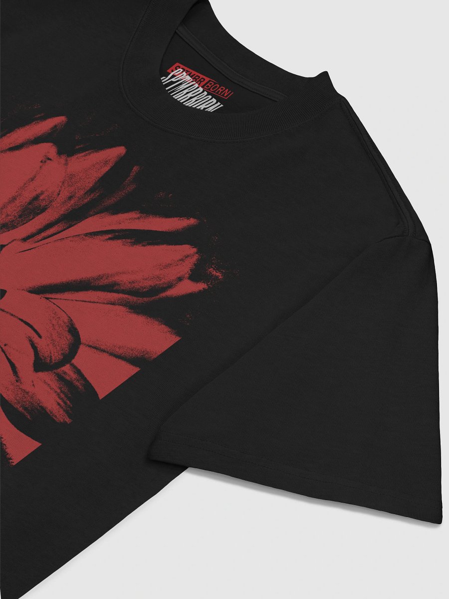 ZINNIA product image (5)