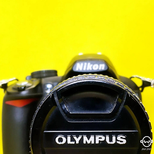 Retro-Híbrido

-
-
-
-

#olympus#omd#olympusomd#nikon#d3100#nikon3100#filteradapter#analog#a54#retro#mirrorcamera#mirrorless#...