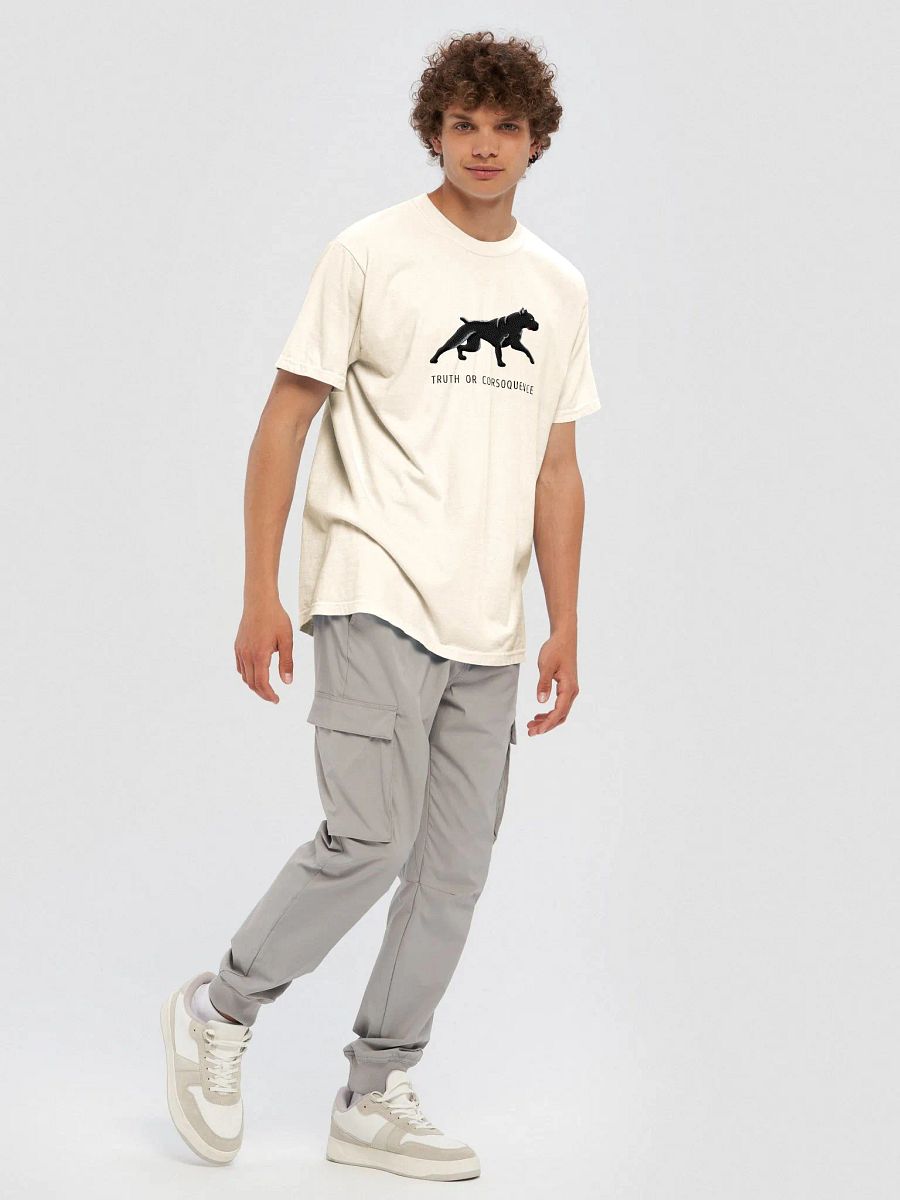 Truth or Corsoquence T-Shirt(Embroidered) of a Cane Corso(Black) product image (8)
