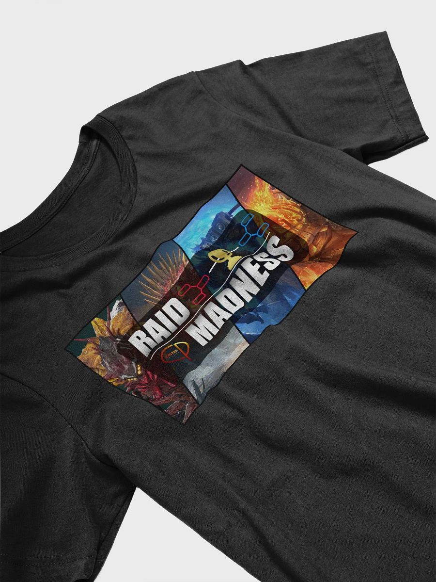 RAID MADNESS 2024 Tee product image (3)