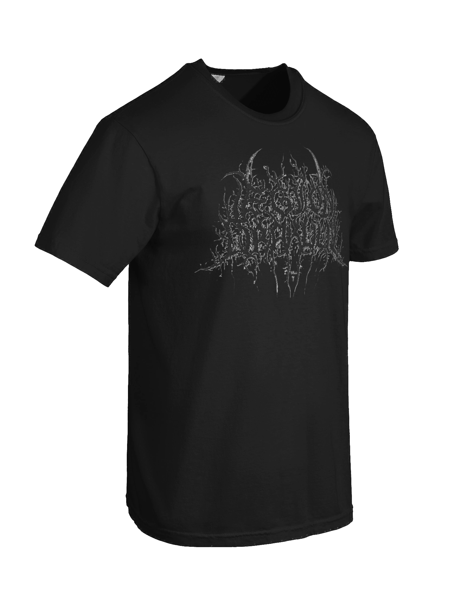 LEGION DRAKUUL Logo Heavyweight Tee product image (8)