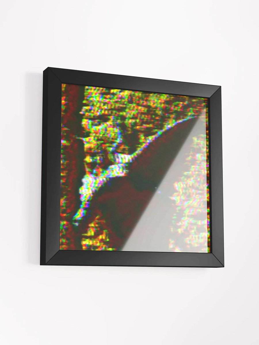 Spectre (Ornate Tree Lizard) product image (9)
