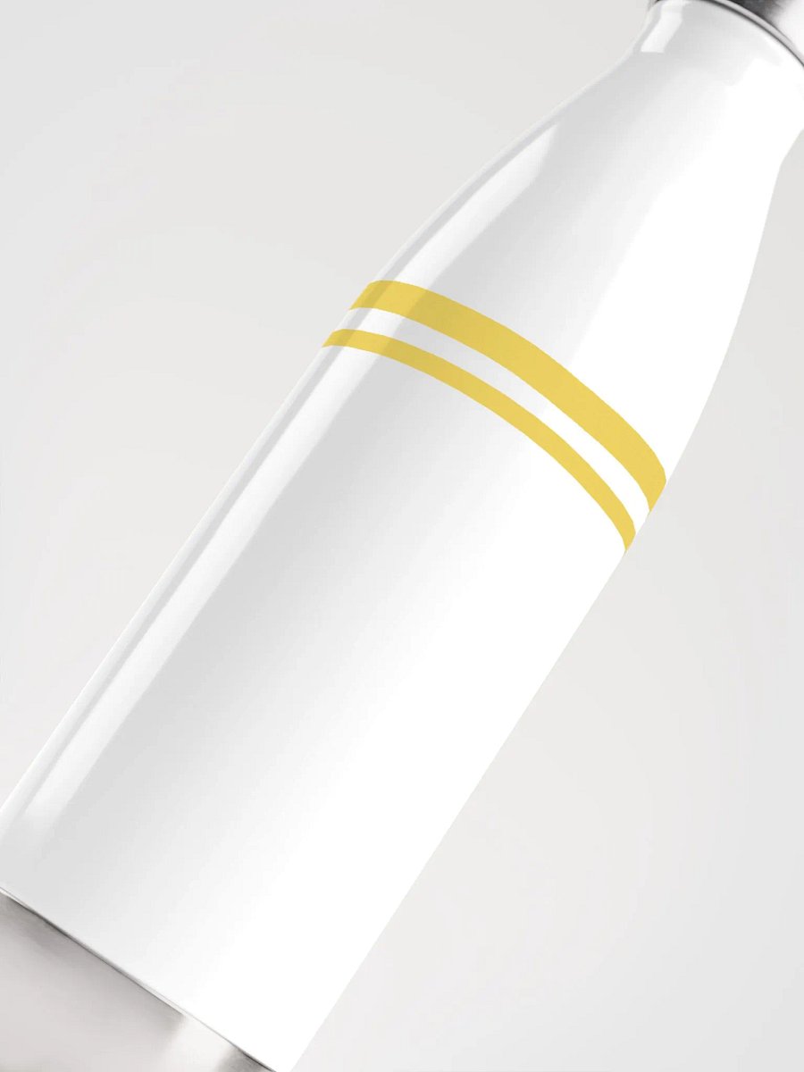 Stainless Steel Water Bottle product image (5)