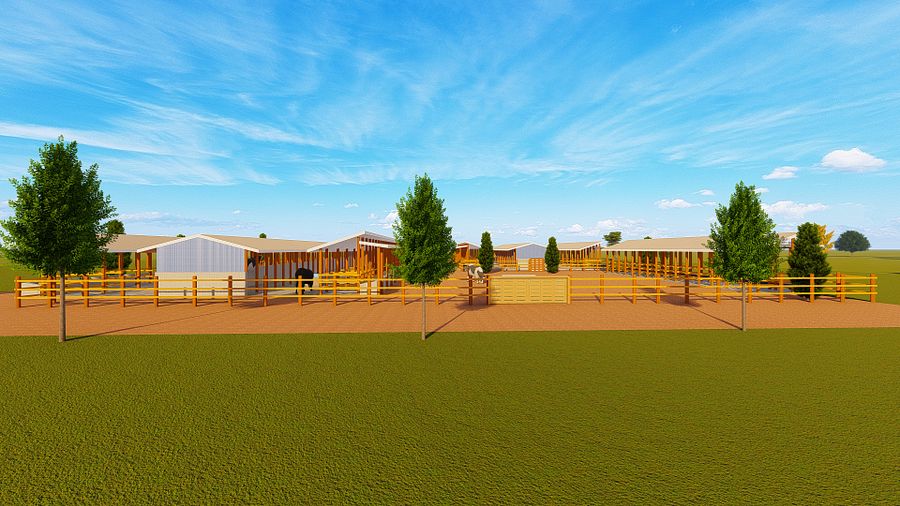 70 Dairy Cows Design Plan product image (7)