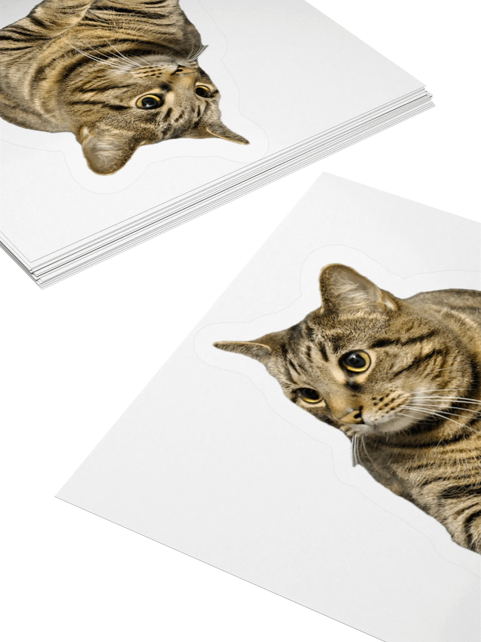 Buddy the Sir Chungus Amungus Sticker product image (4)