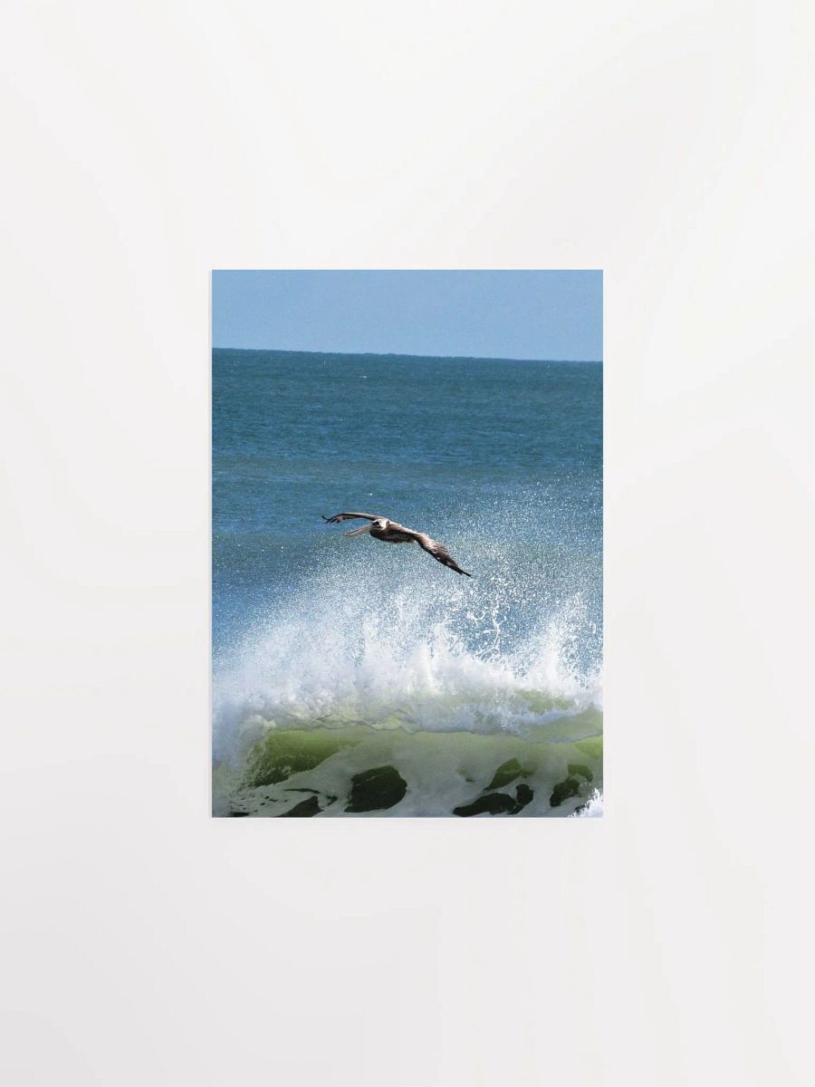 Flying Pelican product image (6)