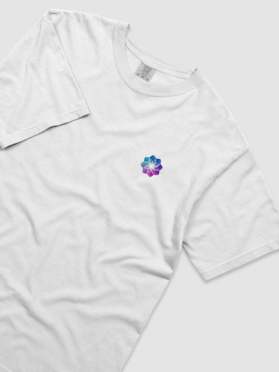1StellarLife Heavyweight T-Shirt product image (3)