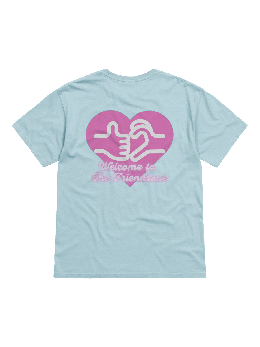 Welcome to the Friendzone T Shirt product image (8)