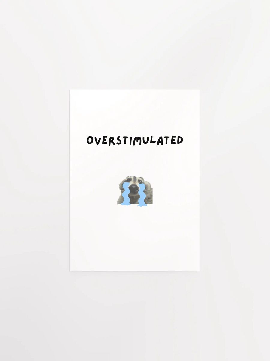 Overstimulated - Raccoon Poster product image (2)