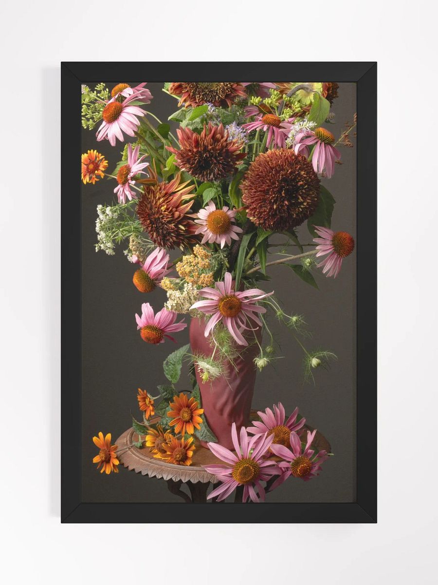 Echinacea Summer product image (1)