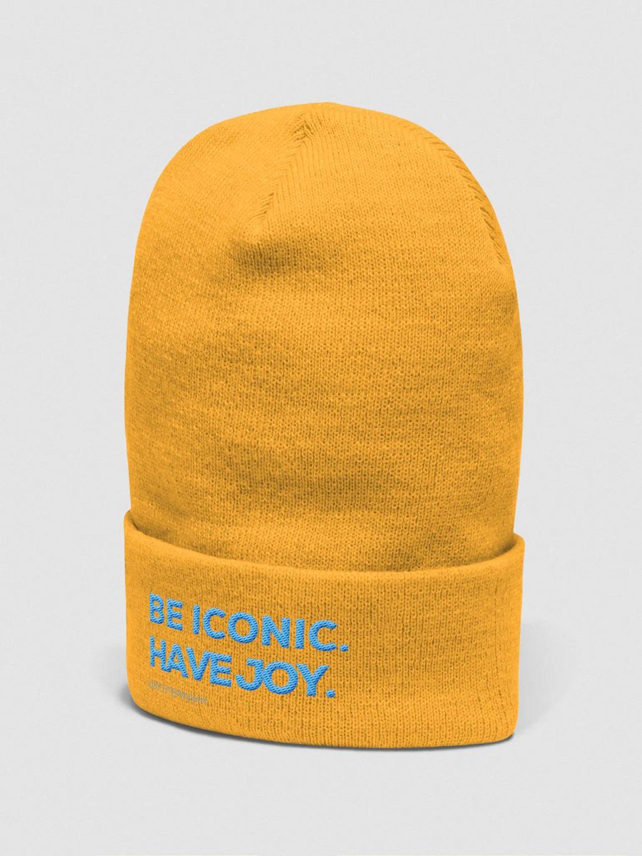 BE ICONIC. BE BEENIE. product image (12)