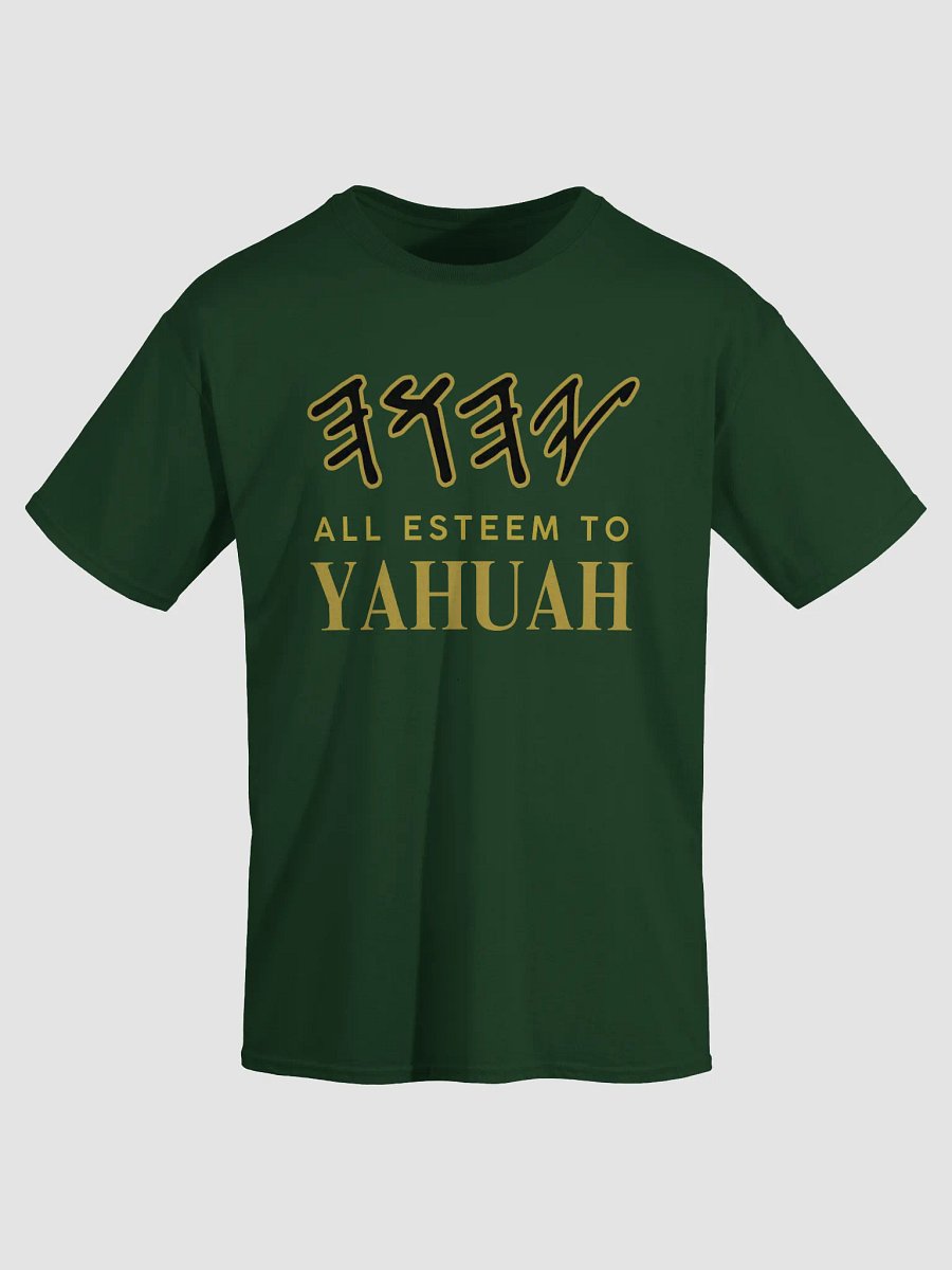 Yasharal Original Music: All Esteem To YAHUAH | T-Shirt | Forest Green product image (3)