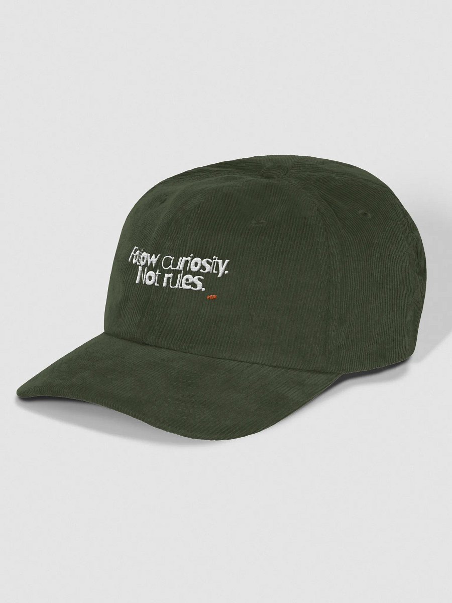 Cat Wisdom "Follow curiosity. Not Rules" Embroidered Corduroy Dad Hat product image (18)
