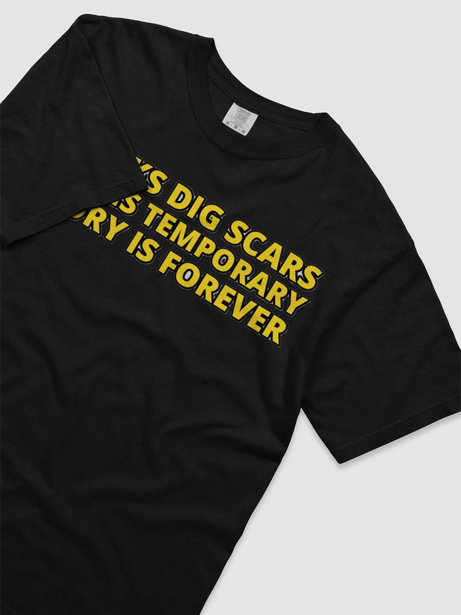 CHICKS DIG SCARS, PAIN IS TEMPORARY, GLORY IS FOREVER product image (33)