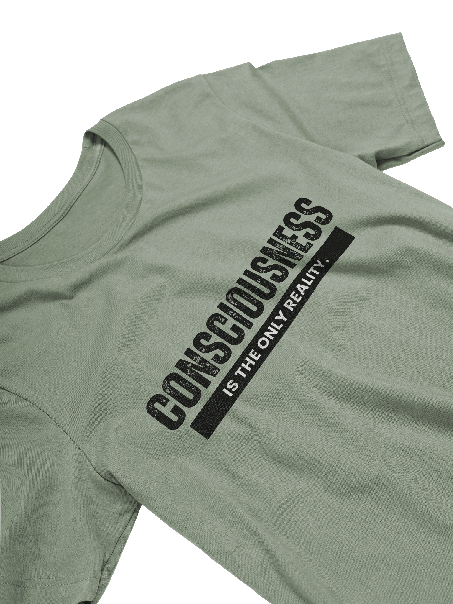 "Consciousness is The Only Reality." T-Shirt product image (25)