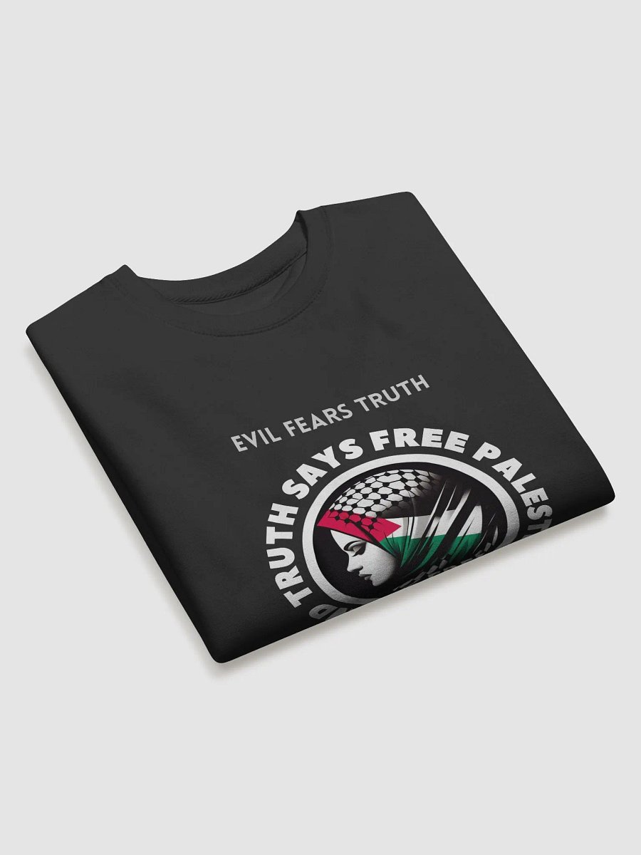 Free Palestine Headscarf Artistic Sweatshirt | Evil fears truth, and truth says: Free Palestine. product image (20)