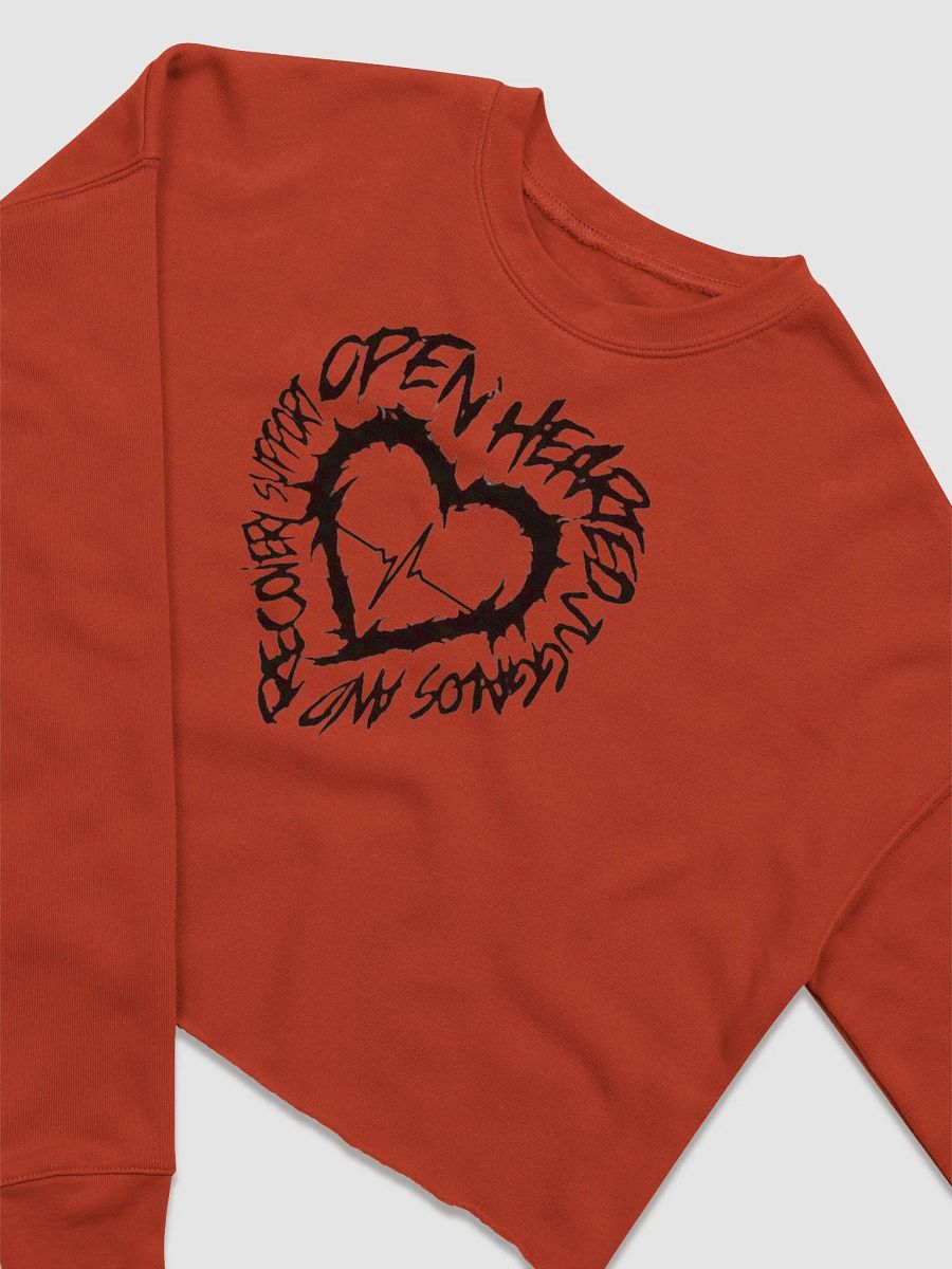 .strife OJARS LOGO CROP TOP SWEATER product image (3)