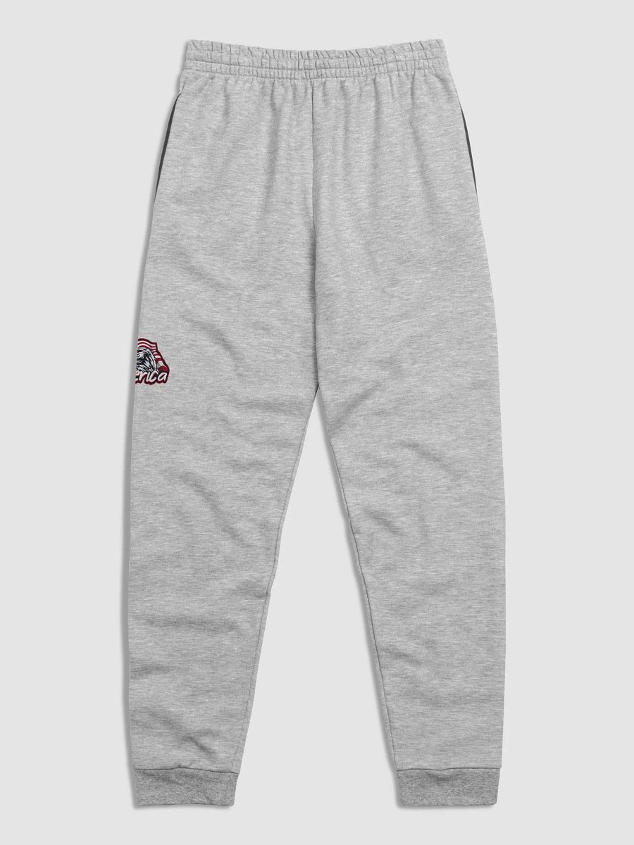 America Unisex Joggers product image (6)