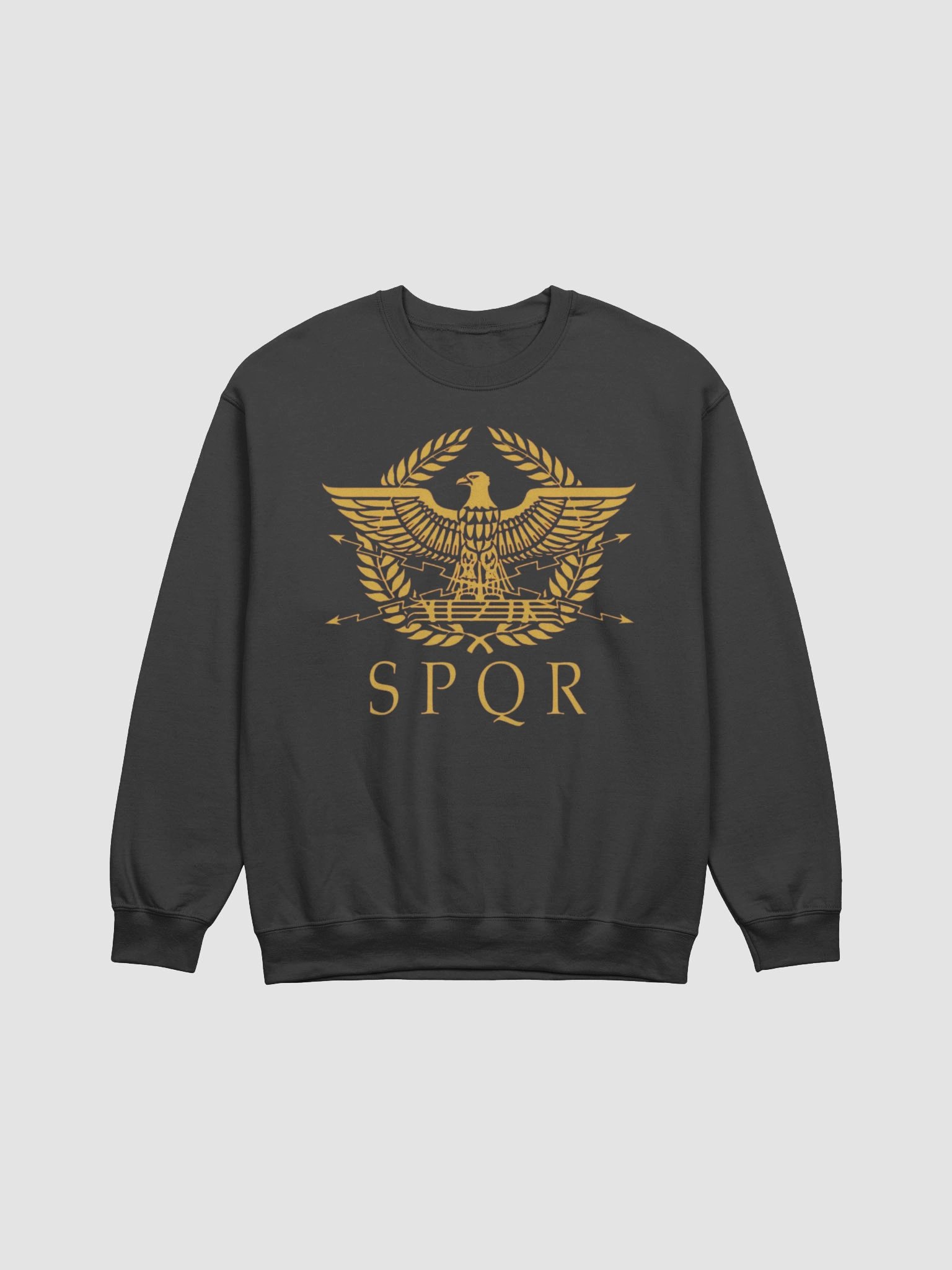 Rome Reborn Sweatshirt product image (6)