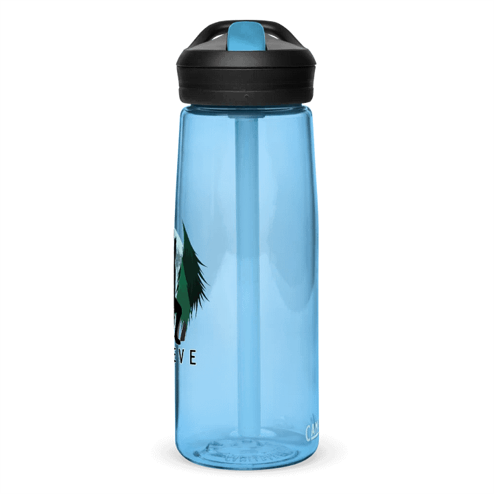 BELIEVE Water Bottle product image (12)